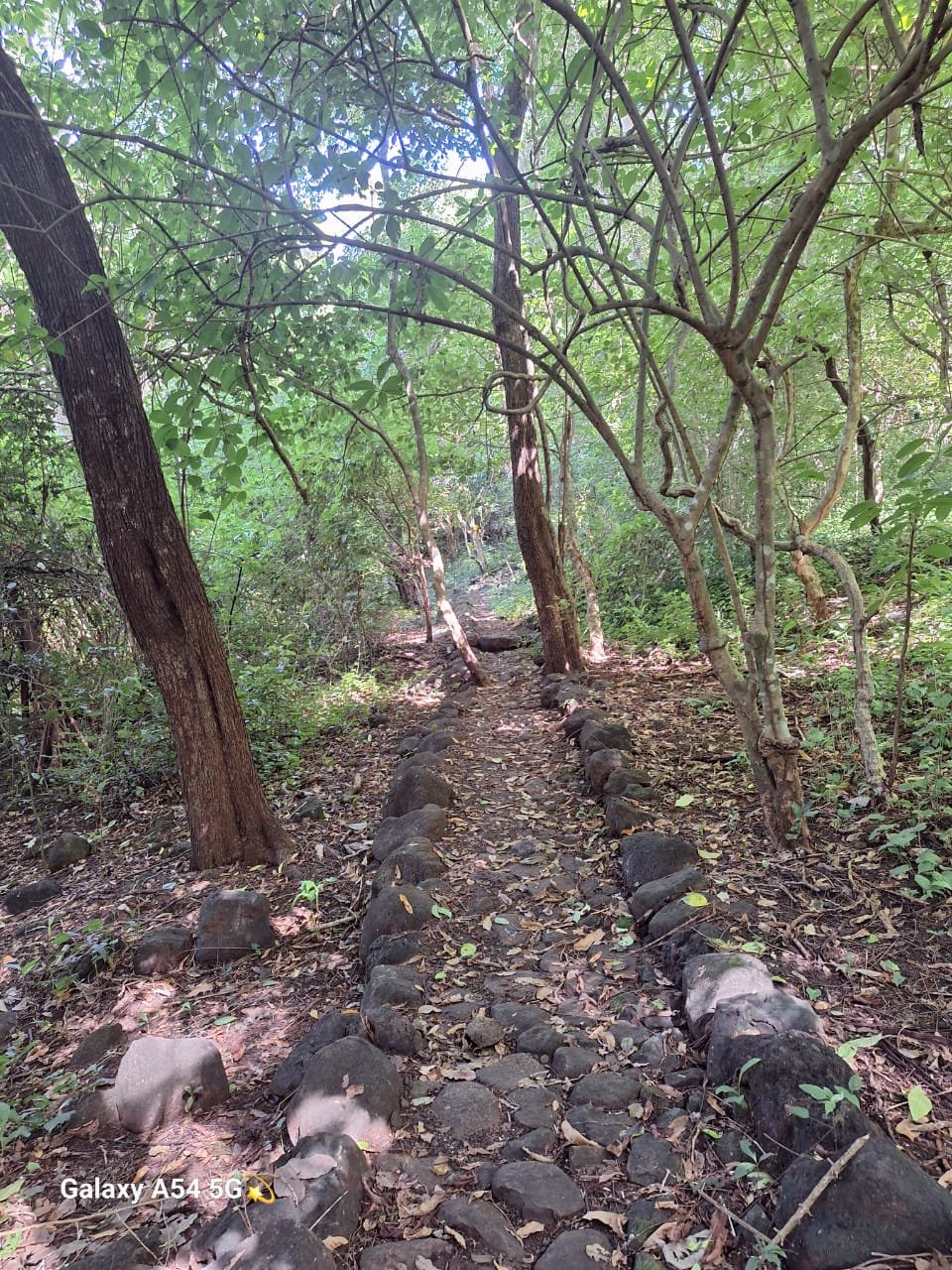 Rutas en bicicleta por Ometepe